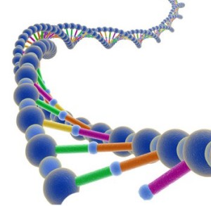 dieta genetica programma