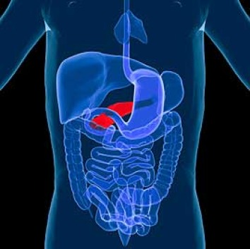 Pancreatite alimentazione e dieta