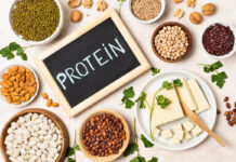 Dieta proteica
